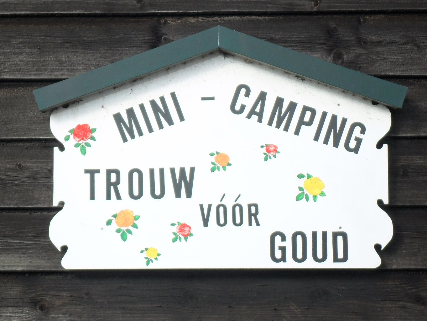 Minicamping Trouw vòòr Goud